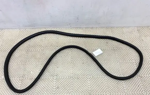 Opel Vivaro Rubber seal front door (on door) 9806514880