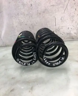 Rear coil spring