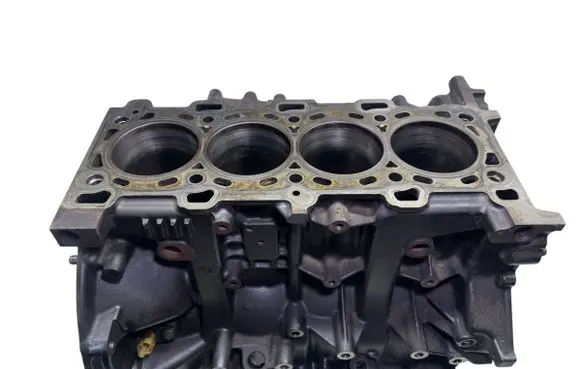 Nissan Qashqai+2 Engine block M9R M9RD833 C044362