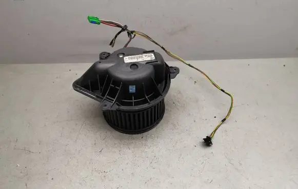 Peugeot 607 Heater fan/blower 