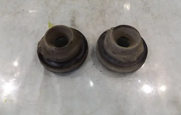 Rear coil spring