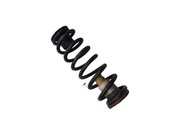 Ford Mustang V Rear coil spring BD8AA