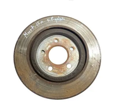 Ford Mustang V Rear brake disc 5R332C026A