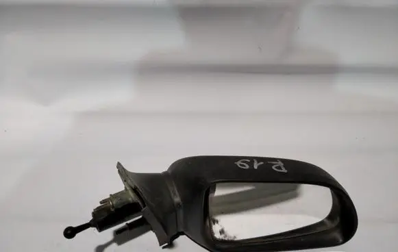 Renault 19 Manual wing mirror 