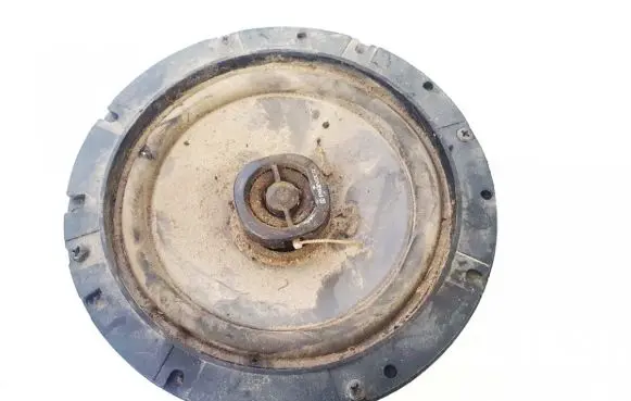 Renault Laguna I Front door speaker