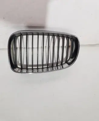 BMW 1 E81 E87 Front grill 22405910