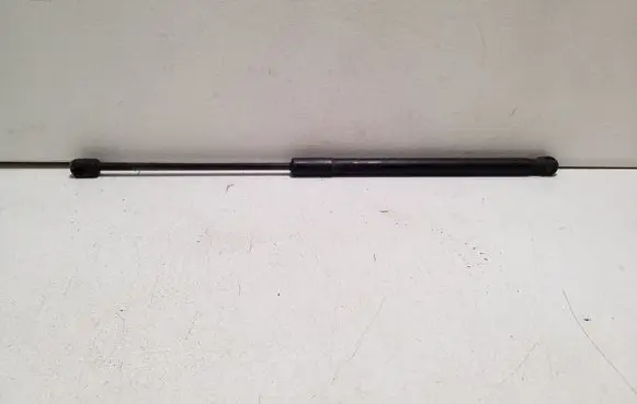 Tailgate/trunk strut/damper