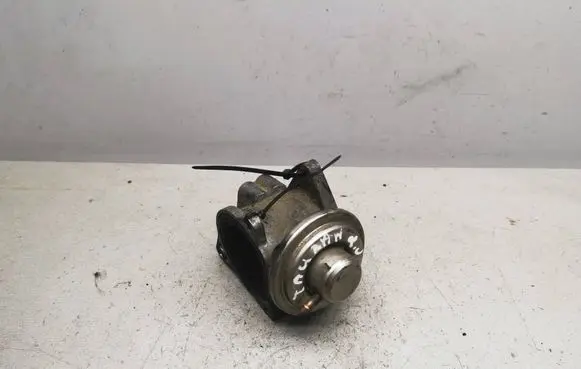 Volkswagen Golf V EGR valve 038131501AN