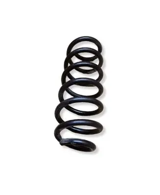 Nissan Qashqai Rear coil spring 