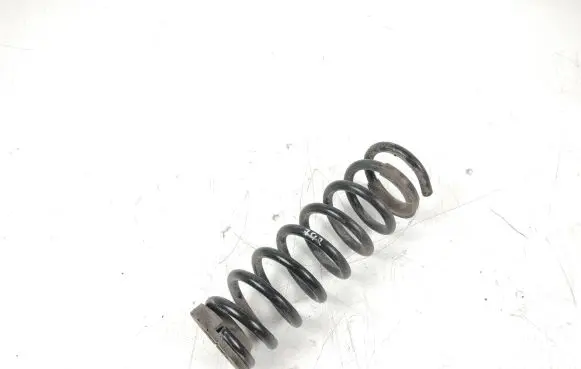 KIA Optima Rear coil spring