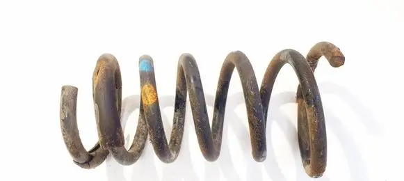 Rear coil spring