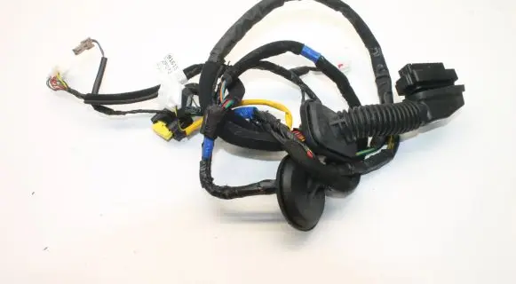 KIA Sorento Front door wiring loom 916152P073