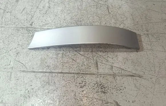 Rear/tail light trim molding