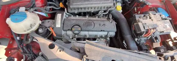Seat Ibiza IV (6J,6P) Engine cgg