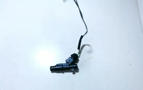 Citroen Xsara Picasso Fuel injector 01f005a 06602