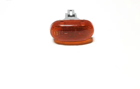 Front fender indicator light