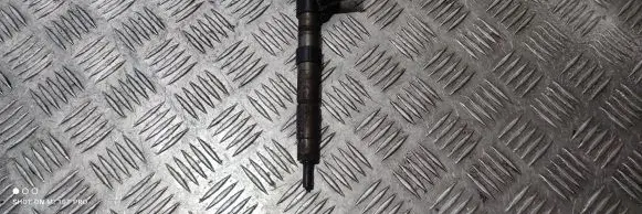 Jaguar XF X250 Fuel injector 0445116