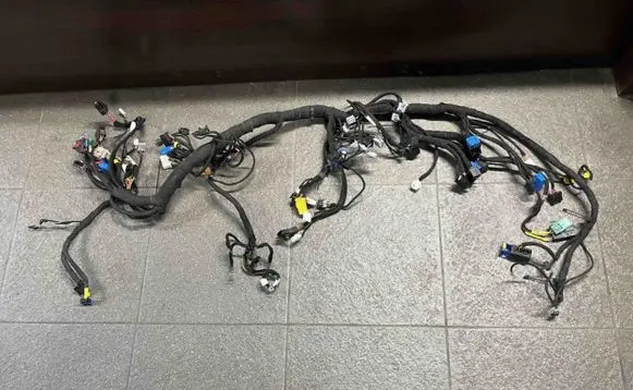 Iveco Daily 4th gen Other wiring loom 69504005