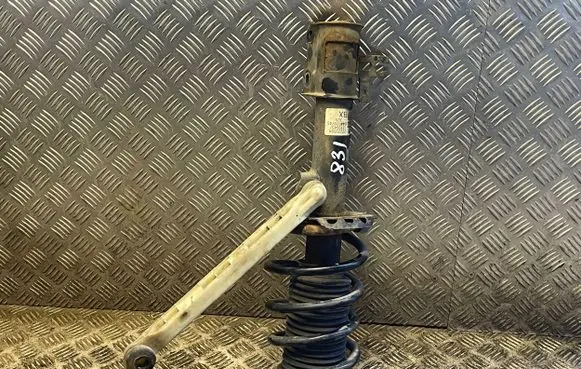 Opel Zafira B Front shock absorber/damper 22229594