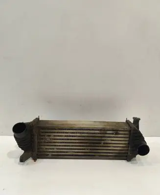 Renault Kangoo II Intercooler radiator 8200427469