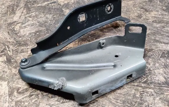 Cadillac SRX Engine bonnet/hood hinges 15865264