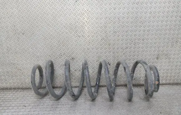 Volkswagen PASSAT B6 Rear coil spring