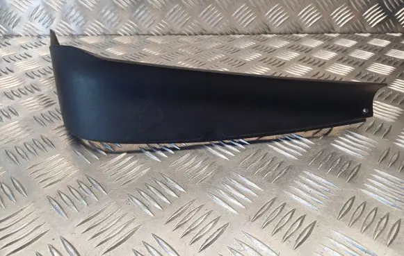 Rear/tail light trim molding