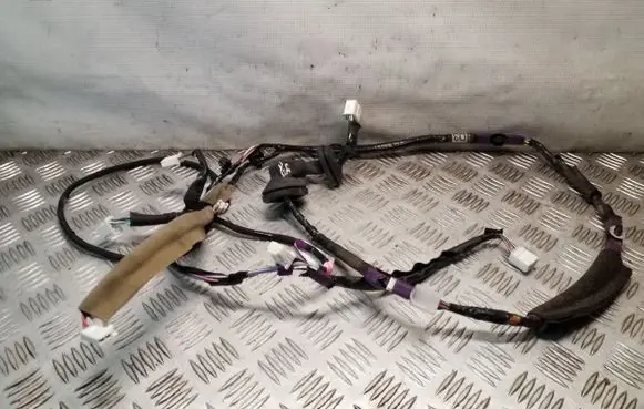 Rear door wiring loom
