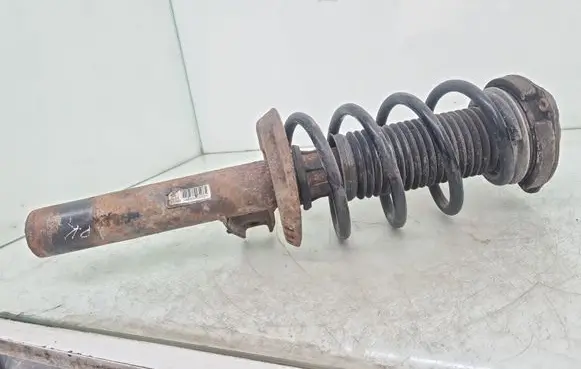 Volkswagen Golf V Front shock absorber with coil spring 3C0413031AC
