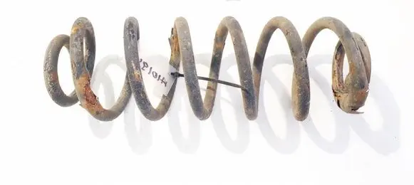 Rear coil spring