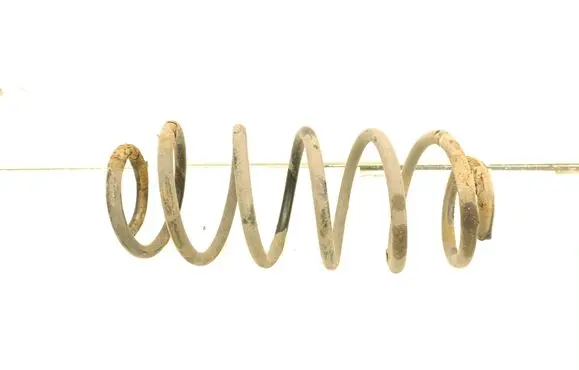 Rear coil spring