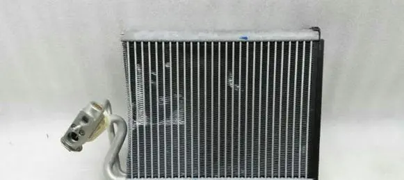 Mercedes-Benz CL C216 Air conditioning (A/C) radiator (interior) A2218300358