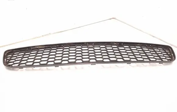 BMW X1 E84 Front bumper lower grill 8037994