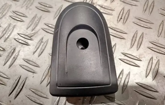 Renault Kangoo III Rear door check strap stopper 8200628449 110094 2MAP7
