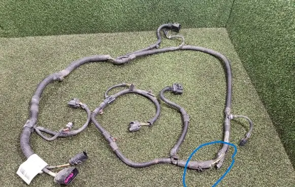 Other wiring loom
