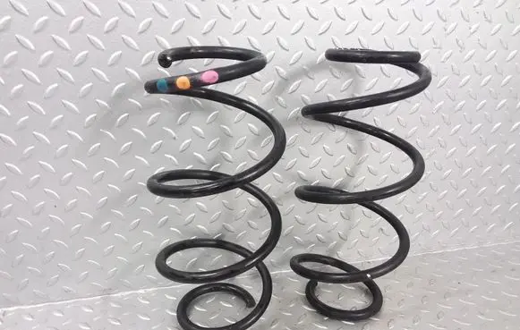 Dacia Dokker Rear coil spring 550206003R