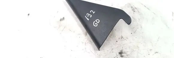 Rear door glass trim molding