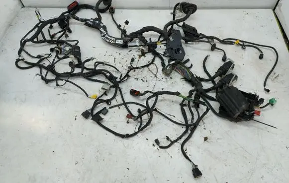 Ford Mustang Mach-E Engine installation wiring loom LJ8T-14290-RAF