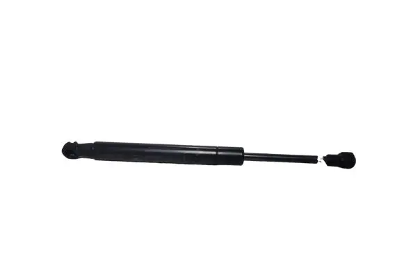 Tailgate strut