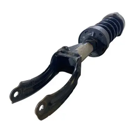 Porsche Cayenne (92A) Front shock absorber with coil spring 7P0411189A