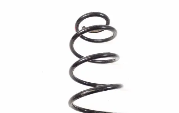 Rear coil spring