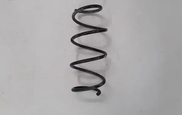 Renault Megane IV Front coil spring 540105880R