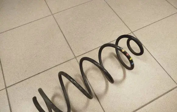 Opel Grandland X Rear coil spring 