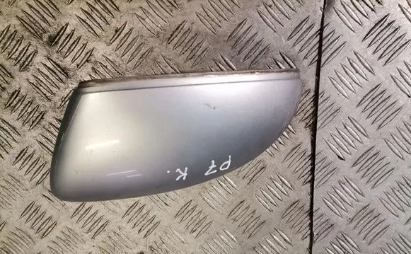 Volkswagen PASSAT B7 Plastic wing mirror trim cover 544283