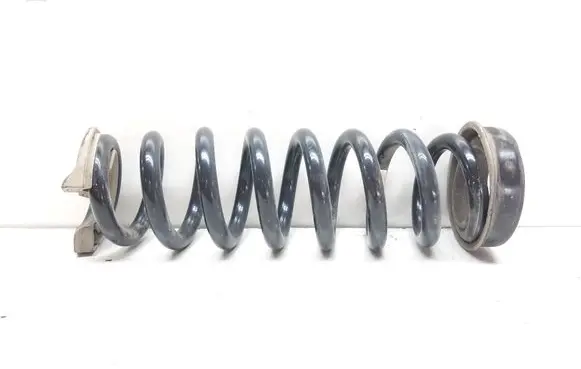 Rear coil spring