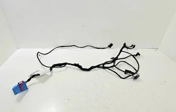 Front door wiring loom