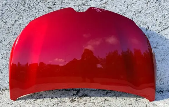 Engine bonnet/hood