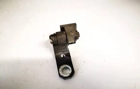 Rear door lower hinge