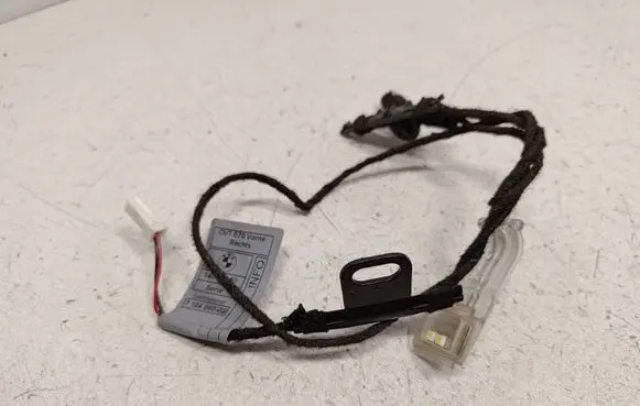 BMW X5 E70 Front door handle light (exterior) 7184660 63177184660