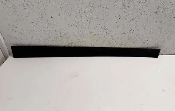Front door trim (molding)